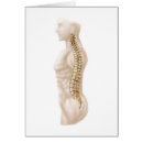 Buscar columna vertebral postales Cocix