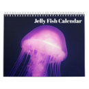 Buscar medusas calendarios Para todos