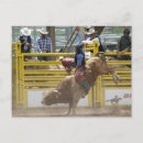 Buscar rodeo postales Vaquero