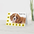 Buscar arrogante tarjetas Perrito