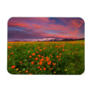 Buscar cordillera imanes Naturaleza