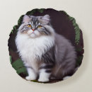 Buscar gato gris y blanco cojines Animal