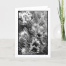 Buscar opositor tarjetas Foto