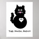 Buscar tnr Neutro