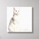 Buscar amantes del gato lienzos Lindo