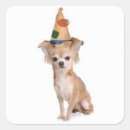 Buscar perros chihuahua pegatinas Animales