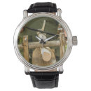 Buscar de madera relojes Fotografía