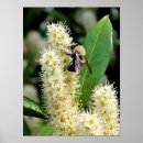 Buscar néctar posters Abeja de burbujas