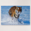 Buscar tigre de bengala puzzles Gatos
