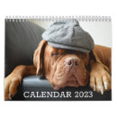 Buscar amantes animales calendarios Fotografía