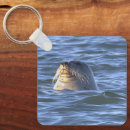 Buscar foca llaveros Animales