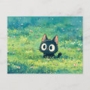 Buscar ojos postales General y unisex