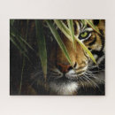 Buscar cara del tigre puzzles Rayas