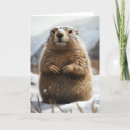 Buscar snow tarjetas Animal