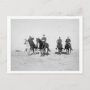 Buscar milla fotografía Caballo