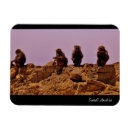 Buscar arabia imanes Saudita