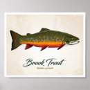 Buscar trucha posters Al aire libre