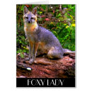 Buscar zorro joven postales Lindo