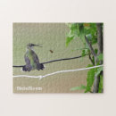 Buscar colibrí puzzles Ornitología