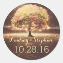 Buscar cadenas pegatinas Luces de cadena