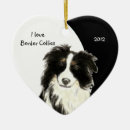 Buscar border collie adornos Animal