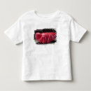 Buscar 1500 camisetas Décimosexto