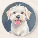 Buscar maltés posavasos Cachorro