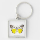 Buscar naturaleza llaveros Fotografía