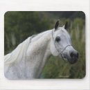 Buscar caballo árabe alfombrillas de raton Headshot