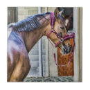 Buscar cabeza animal azulejos Equino