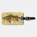 Buscar arroyo accesorios Pesca