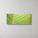 Buscar paneles decorativos Para ella