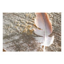 Buscar madera natural posters Adorable