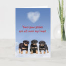 Buscar rottweiler tarjetas Rottie