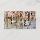 Buscar patos tarjetas de visita General y unisex