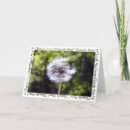 Buscar diente de león tarjetas General y unisex