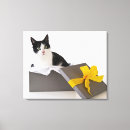 Buscar gato blanco y negro lienzos Integral