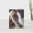 Buscar caras felices tarjetas Feliz