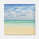 Buscar playa del carmen imanes México