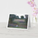 Buscar y gatito blanco tarjetas General y unisex