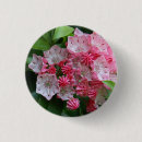 Buscar forma de la estrella chapas Estrellas