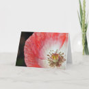 Buscar amapola tarjetas Para ella