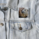 Buscar sellos chapas Animales