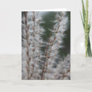 Buscar trigo tarjetas Paisaje