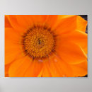 Buscar gotas de agua arte Plantas