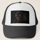Buscar animal la pantera negra gorras Negro