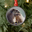 Buscar marmota adornos Animales