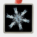 Buscar ciencias naturales adornos Micrografía