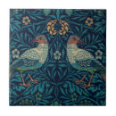 Buscar pájaro azul azulejos Rústico