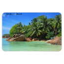 Buscar seychelles imanes Palmera